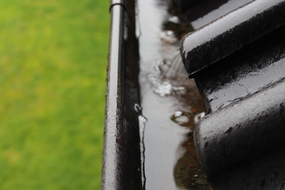 rain and gutters