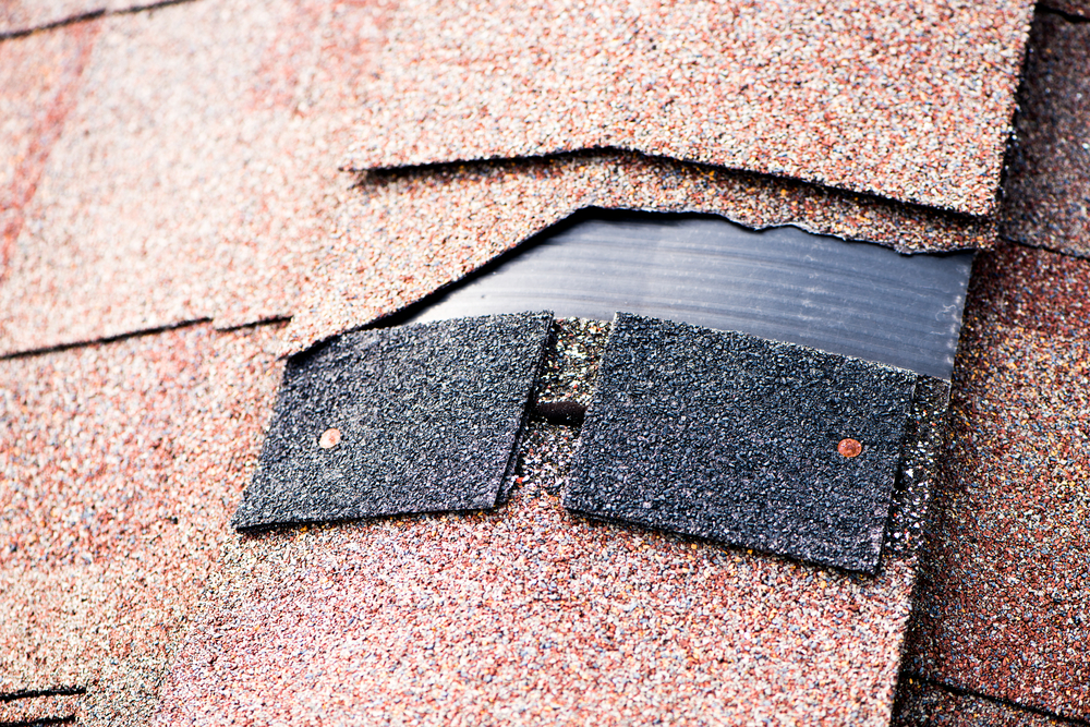 damaged-roof-shingle