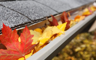 Must-Do Roofing Tips For Fall