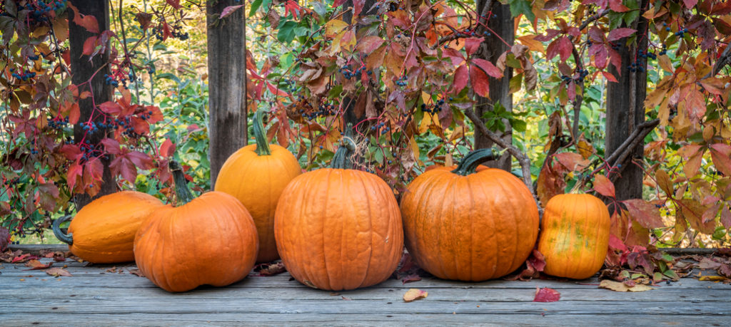 pumpkins on deck