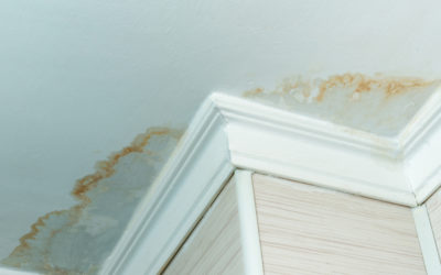 What Those Water Stains on Your Ceiling Mean and What to Do