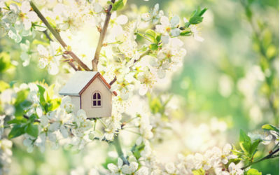 Your 2021 Spring Home Maintenance List