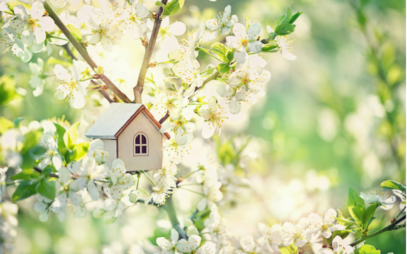 little house in spring tree