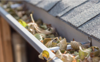 Mistakes to Avoid When Cleaning Gutters