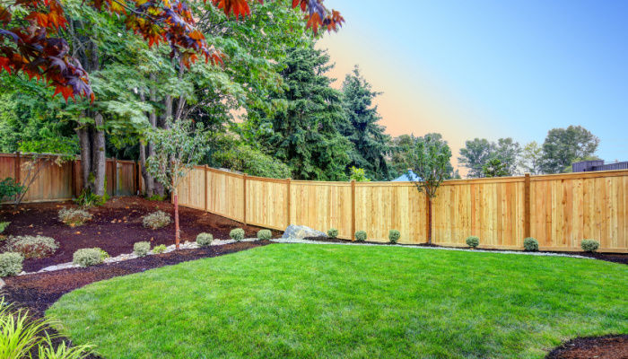 View of an attractive backyard with new planting beds and well kept lawn with trees in the background