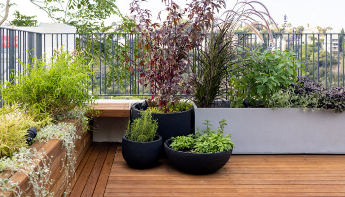 Plants in beautiful planters and potted plants on astylish modern deck