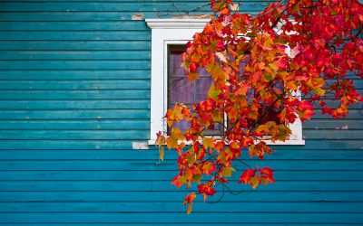 Is Your Siding Ready for Fall? Common Issues and When to Replace