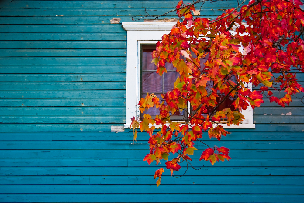A color image of a house with blue siding and complementary design elements