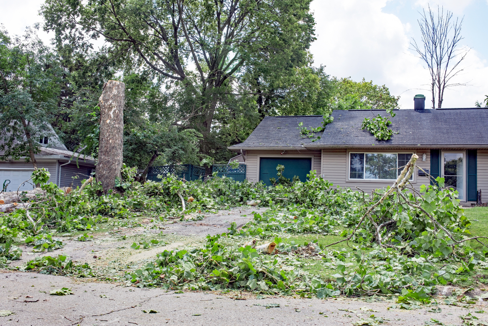 Protect Your Home from Summer Storms: Roofing & Gutter Tips You Shouldn’t Skip