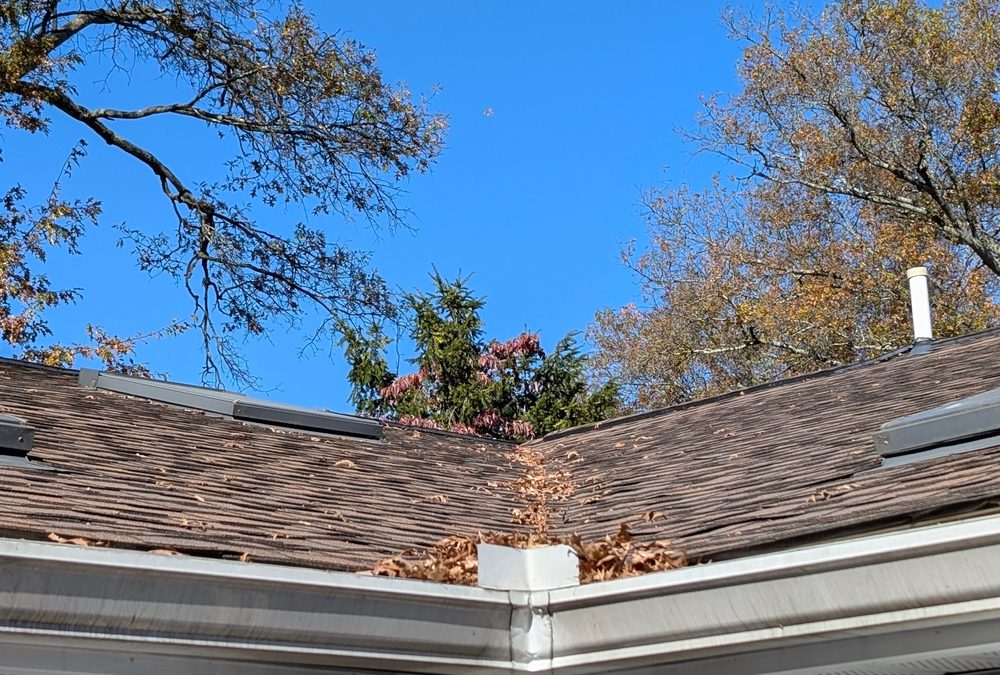 Why Your Gutters Are the Most Underestimated Part of Your Home