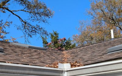 Why Your Gutters Are the Most Underestimated Part of Your Home